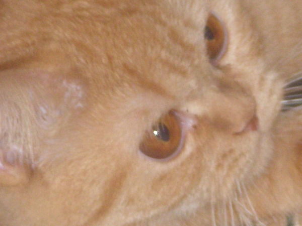 Людочка Онуприенко