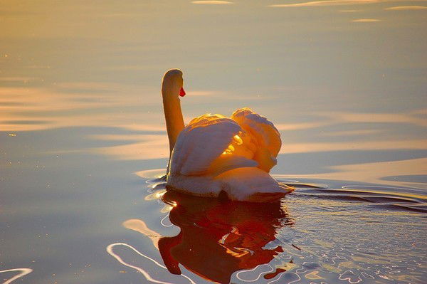 Рушан Батырбаев