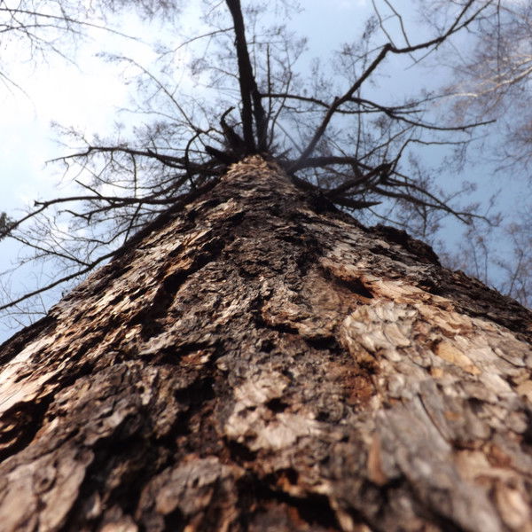 Евгений Федюкович