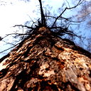 Евгений Федюкович