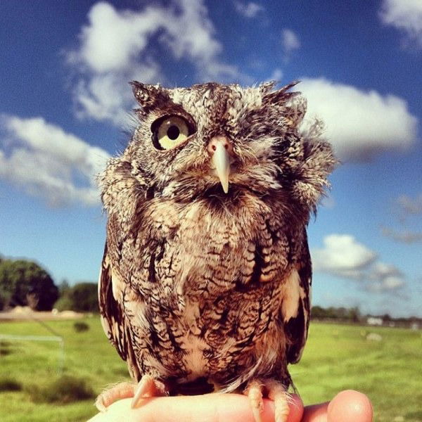 Марина Ольшакова