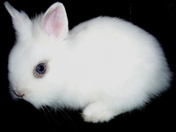 Галина Матюхина