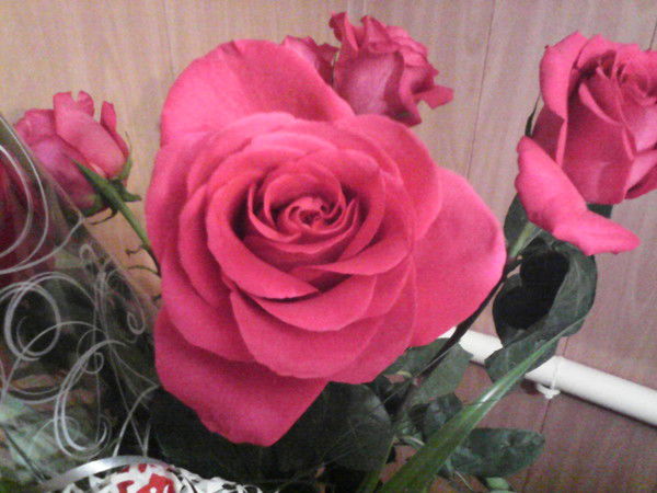 Светлана Алексеевна