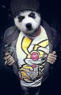 Рома Гульдиев