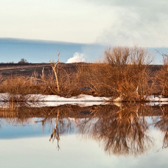 Денис Лукашевич