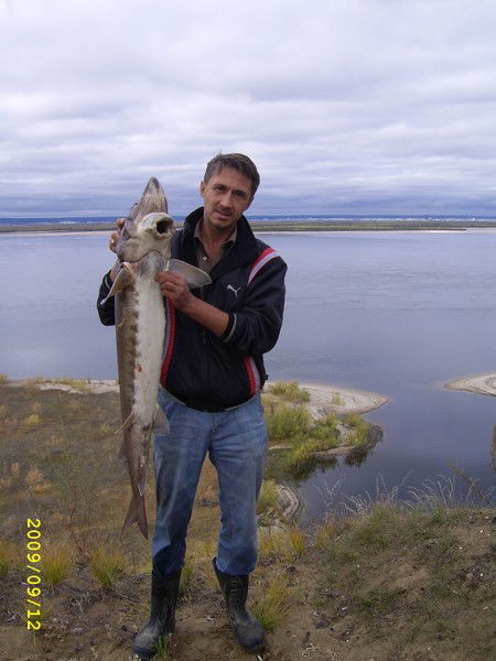 Виталий Демченко