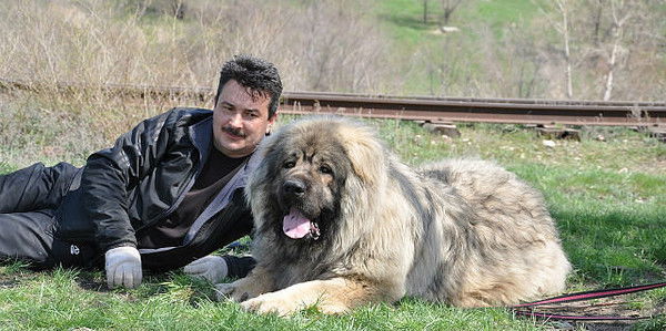 Александр Васильев