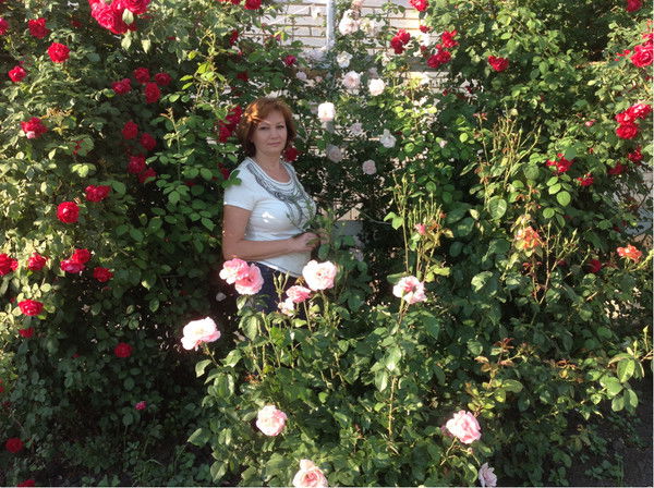 Наталья Лосятинская