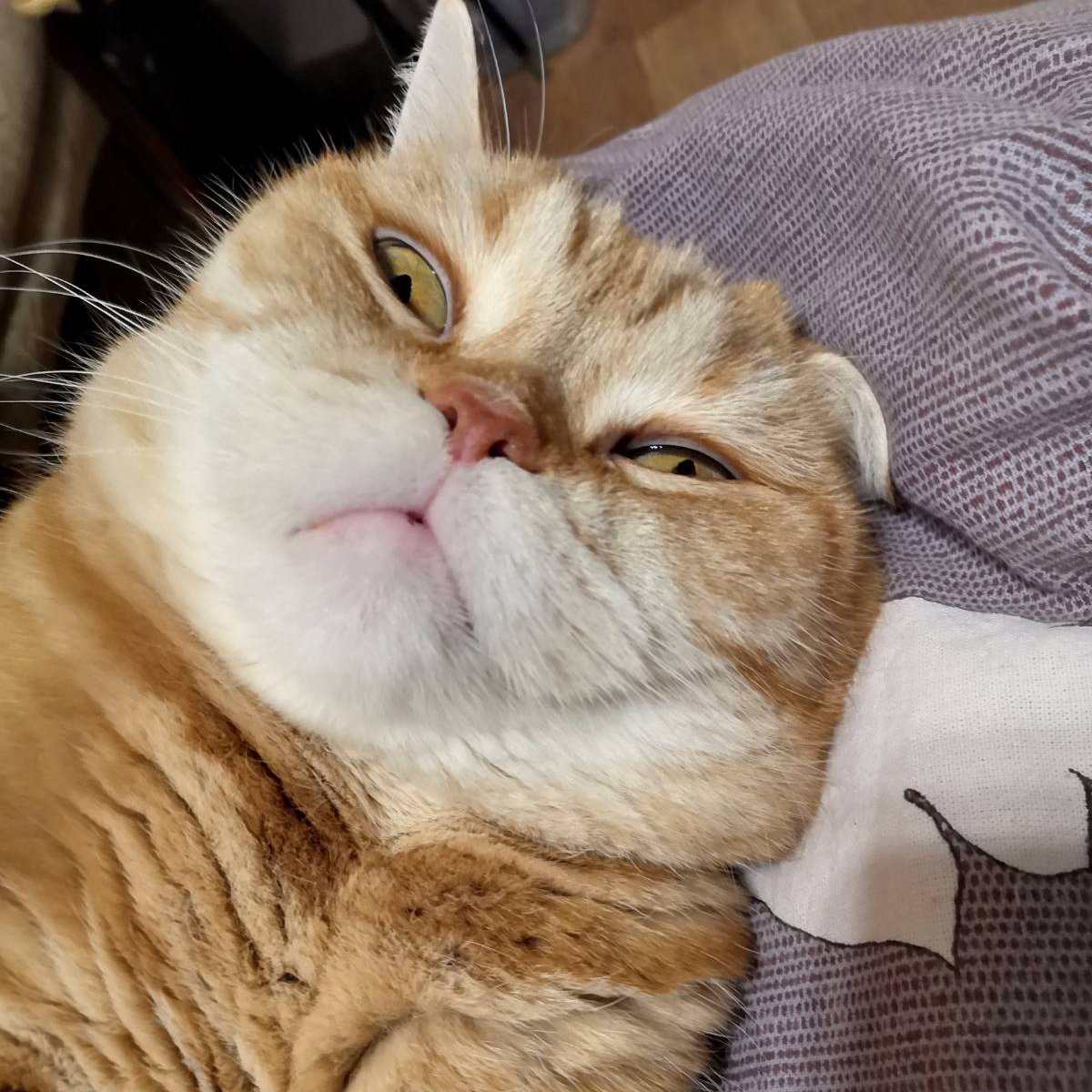 Роман Роман