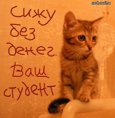 Игорь Вереник