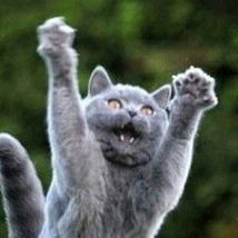 Алексей Сапожников