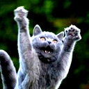 Алексей Сапожников