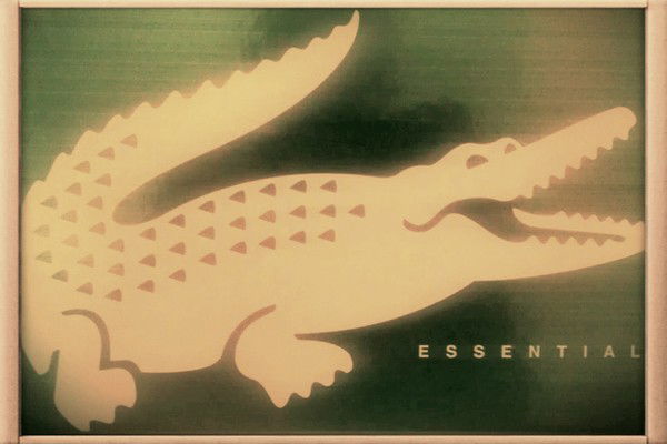 Lacoste Essential
