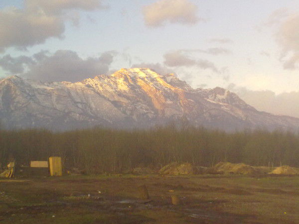 Владимир Верхотуров