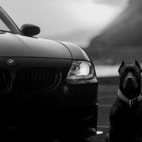 Игорь Иванов-Самсонов