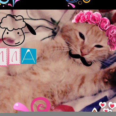 Александр Князь