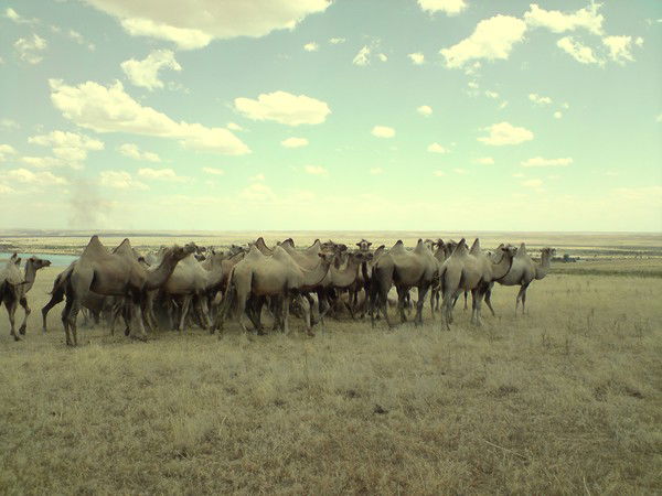 Сергей Эмаирдович