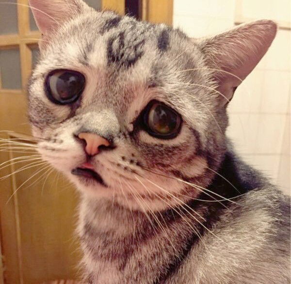 Иван Петров