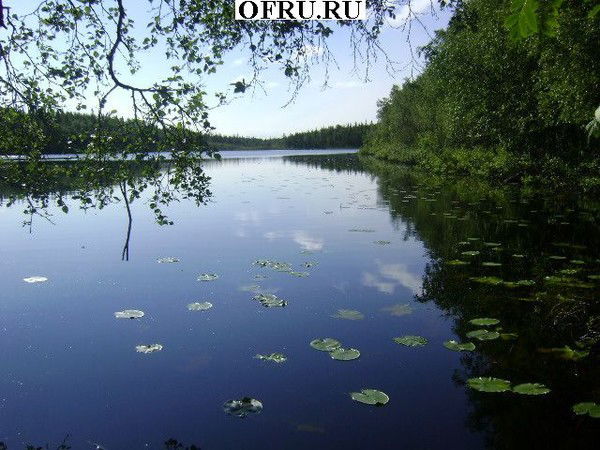 Руслан Исмаилов