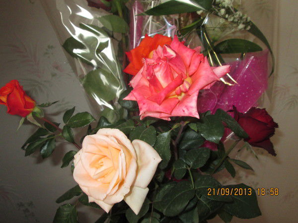 Ирина Попова