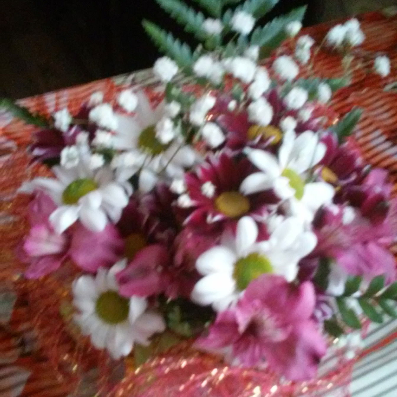 Анна Тарасенко