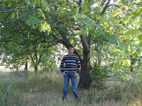 Сергей Дьяченко