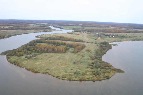 Алексей Пискорский