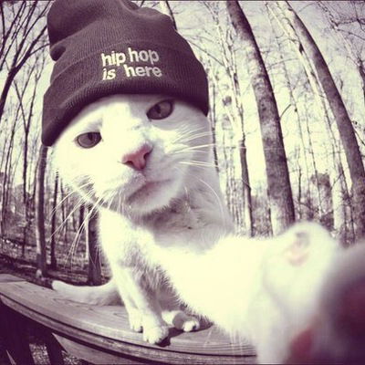 Филипп Горожанкин