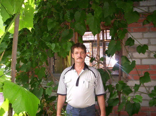 Юрий Чёрный