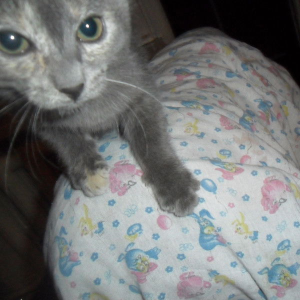 Маруся Серая