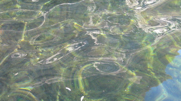 Елена Сёмина(Киселева)