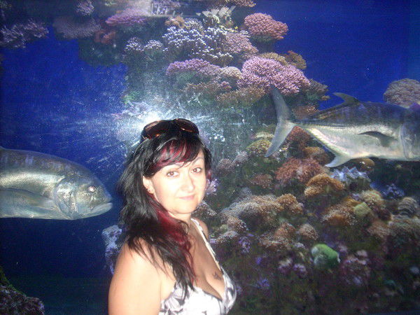 Алла Сизова