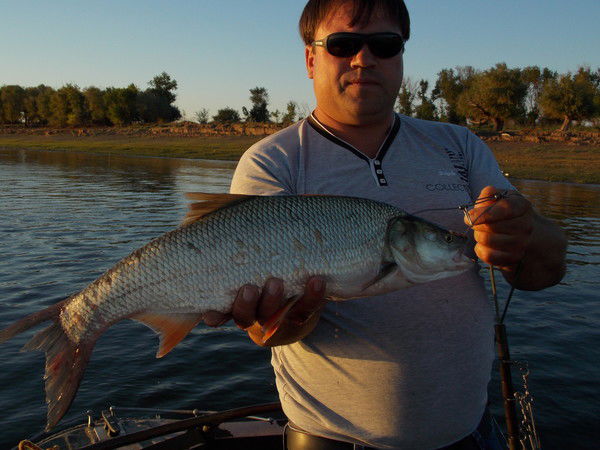 Геннадий Ракитин