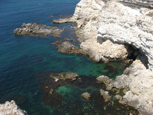 Татьяна Литвинова