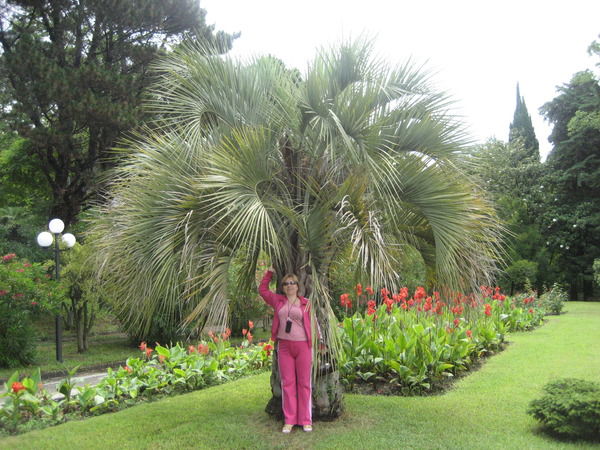 Ольга Корнилович