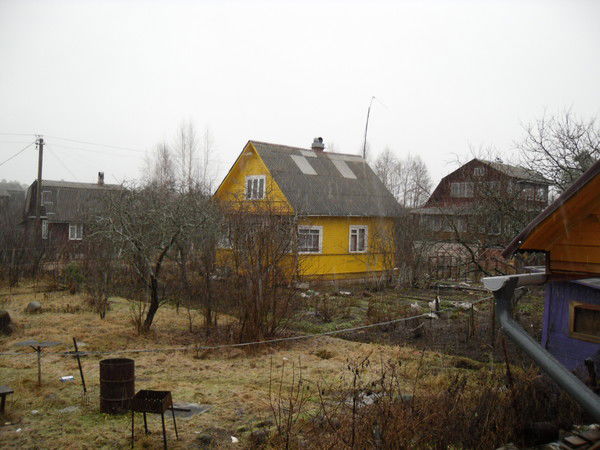 Лариса Мятлюк