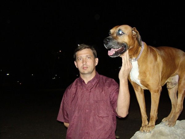 Александр Волков