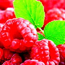 Эльвира Пригарина