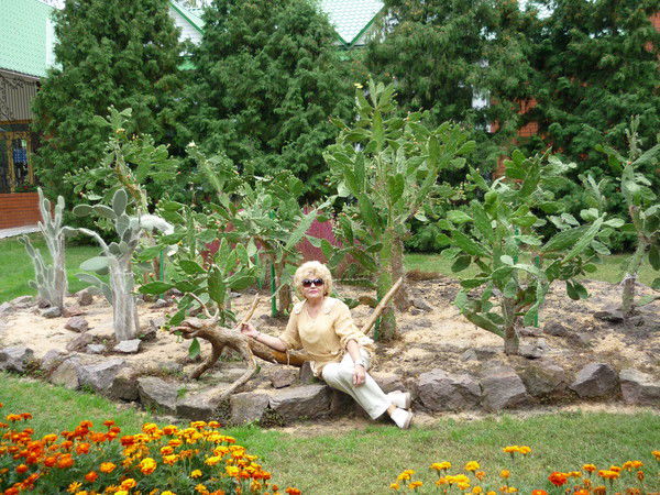 Маргарита Васеева