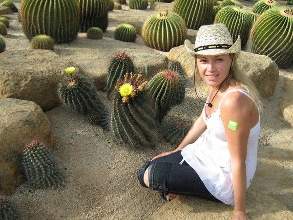 Елена Толкачева