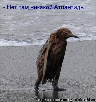 Лера Чекуджан