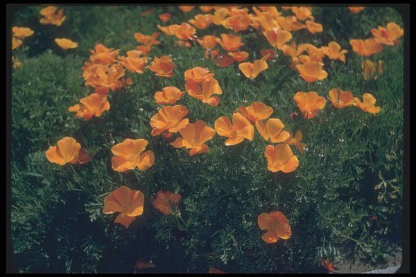 Moyotrada@mail.ru Moyotrada@nail.ru