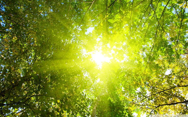 Людмила Кузнецова