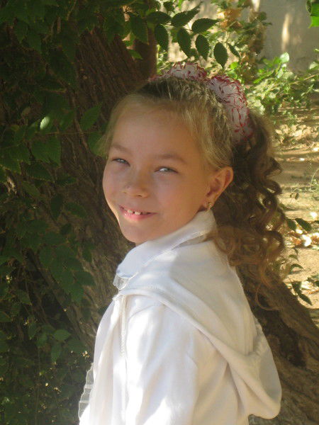 Твой Маленький Друг