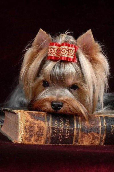 Анастасия Асатарьян