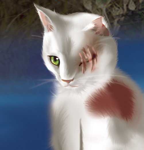 Оксана Кожухарь