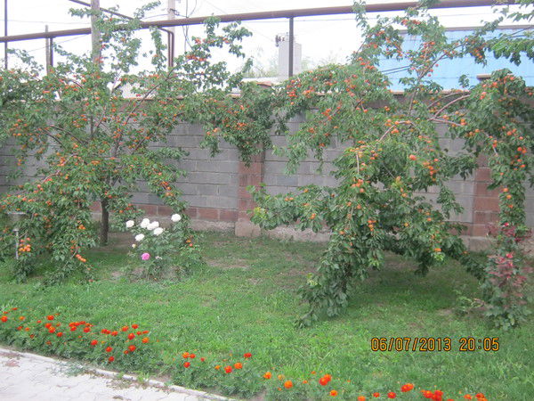 Алия Мухаметкалиева