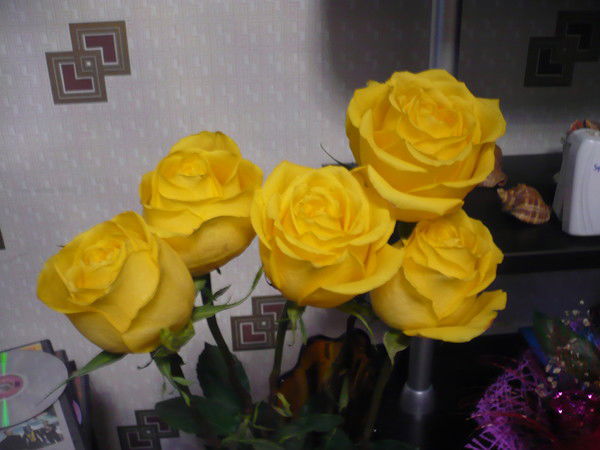 Елена Кузнецова