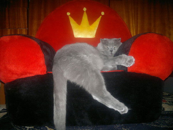 Юра Стахановский