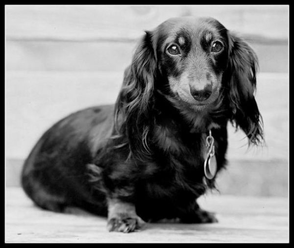 Катя Макеева